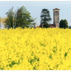 M'illumino di giallo