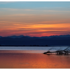 " L'ALBA DI UN'ALTRO GIORNO "