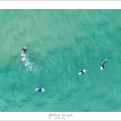 I quattro surfisti sull'oceano