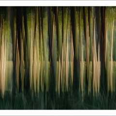 Luce ...
