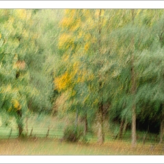 I.C.M. o Mosso creativo  "Un altro Autunno"