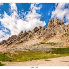 La fotografa...